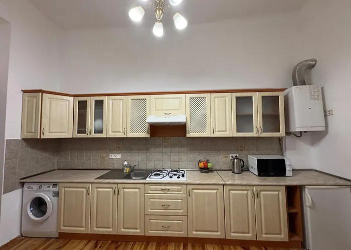 Apartment In Maria Zankovetska Theatre